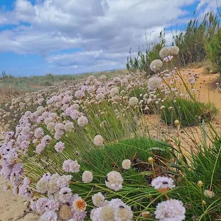 Da Falésia, O Estúdio Da Aldeia Acoteias * Albufeira