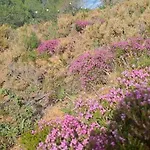 Da Falesia, O Estudio Da Aldeia Acoteias