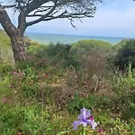 Da Falesia, O Estudio Da Aldeia Acoteias
