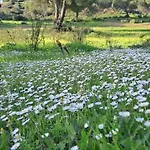 Da Falesia, O Estudio Da Aldeia Acoteias Daire