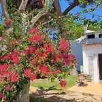 Da Falesia, O Estudio Da Aldeia Acoteias Daire