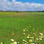 Da Falesia, O Estudio Da Aldeia Acoteias