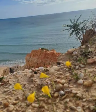Apartmán Da Falesia, O Estudio Da Aldeia Acoteias Albufeira