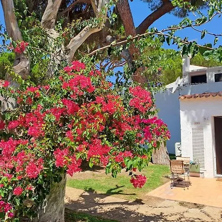 Da Falesia, O Estudio Da Aldeia Acoteias 아파트