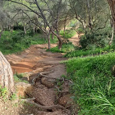 Da Falesia, O Estudio Da Aldeia Acoteias 아파트