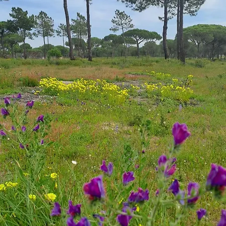 Apartmán Da Falesia, O Estudio Da Aldeia Acoteias Albufeira