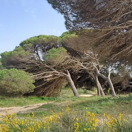 Da Falesia, O Estudio Da Aldeia Acoteias Appartement *