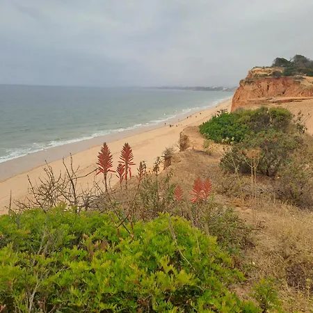 Apartmán Da Falesia, O Estudio Da Aldeia Acoteias Albufeira