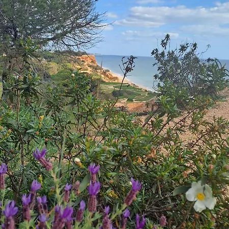 Da Falesia, O Estudio Da Aldeia Acoteias البوفيرا